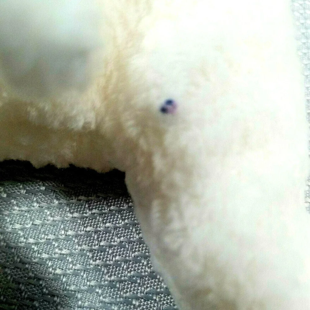 Rare Beanie baby Fleece The lamb HUGE ERROR-Wrong Color Fiber Great Condition 96